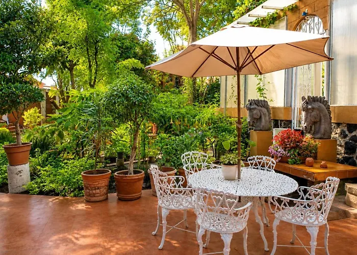 Capulin Apartment Mexico City